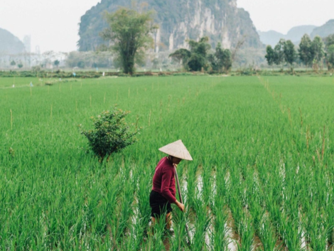 Báo Mỹ vinh danh một điểm đến ở Việt Nam vào top đẹp nhất thế giới