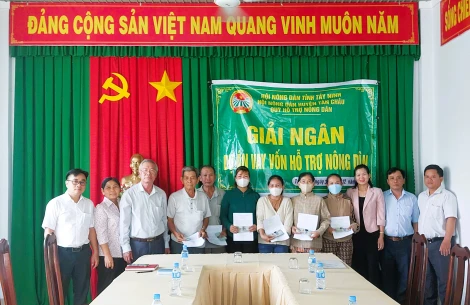 Tân Châu: Giải ngân 150 triệu đồng thực hiện dự án “Chăn nuôi bò sinh sản”