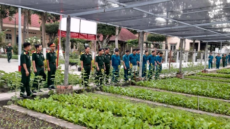 Giao ban chuyên đề “Tăng cường lãnh đạo, chỉ đạo nâng cao chất lượng công tác tăng gia sản xuất của Ban Chỉ huy Quân sự cấp xã”