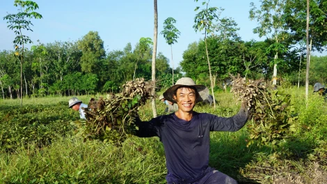 Phấn đấu năm 2025, có 71/71 xã đạt chuẩn nông thôn mới