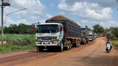 Liên kết để ngành khoai mì tăng giá trị