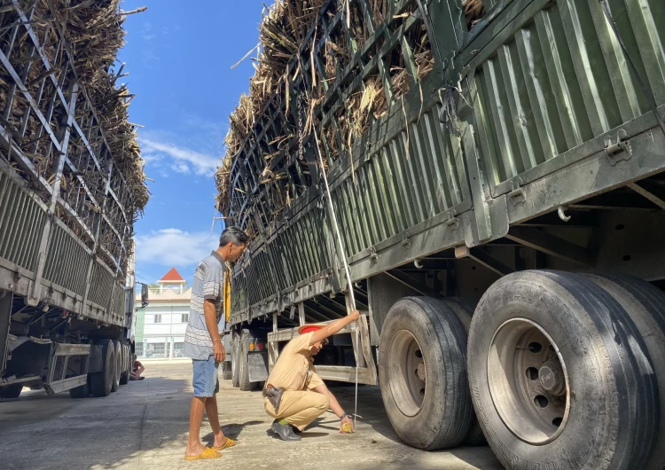 Điểm báo in Tây Ninh ngày 15.01.2025