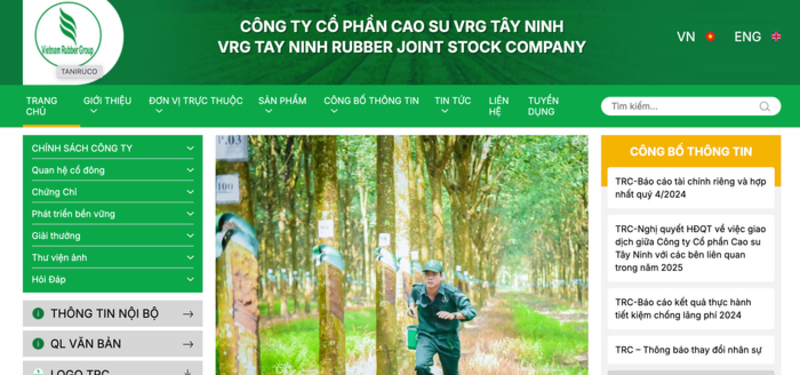 Lợi nhuận năm 2024 của Cao su Tây Ninh bật tăng ngoạn mục gần 230%