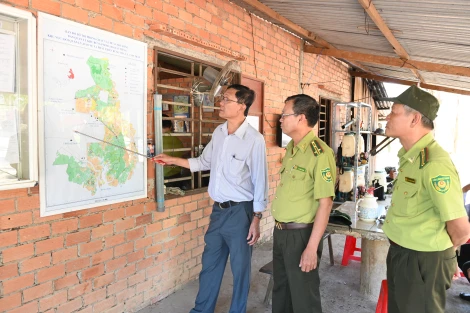 Khu rừng phòng hộ Dầu Tiếng: Sẵn sàng ứng phó với mùa khô