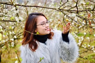 Fanpage 'ma' giăng bẫy du khách