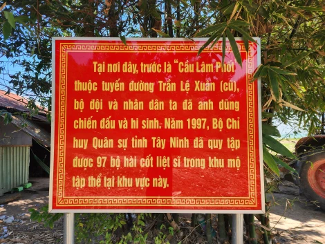 Chuyện trên đảo Nhím