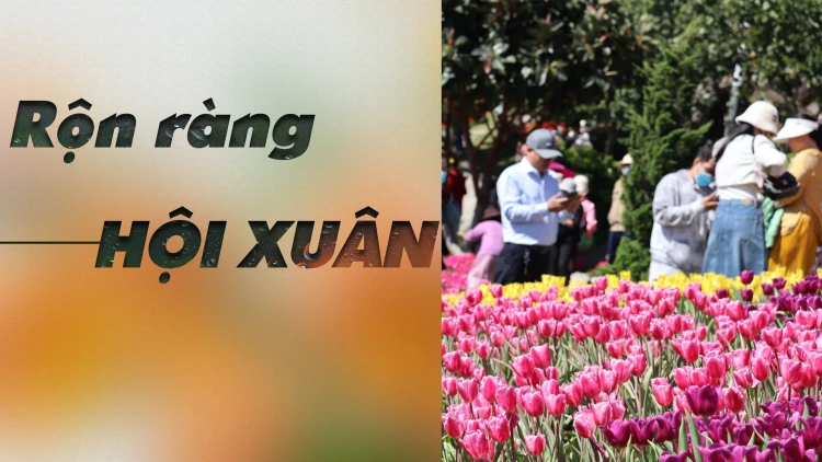 Rộn ràng Hội xuân