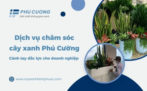 Dịch vụ chăm sóc cây xanh - Cánh tay đắc lực cho doanh nghiệp