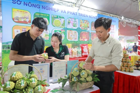 Tây Ninh tham gia hội chợ triển lãm chuyên ngành cà phê và sản phẩm OCOP tại Đăk Lăk