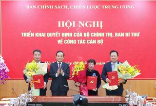 Bộ Chính trị, Ban Bí thư điều động, bổ nhiệm 3 Phó Trưởng Ban Chính sách, chiến lược Trung ương