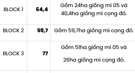 Thông báo bán củ mì (sắn) tươi  (Diện tích 296ha )