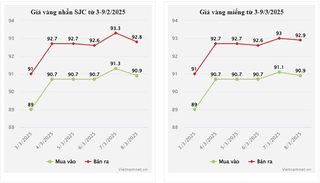 Giá vàng hôm nay 9/3/2025: Nhẫn treo cao trên 93 triệu đồng, thế giới giảm sâu