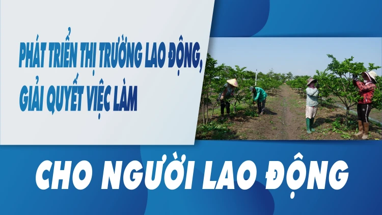 Phát triển thị trường lao động, giải quyết việc làm cho người lao động