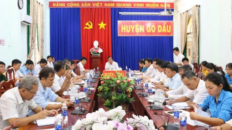 Quý I.2025: Huyện Gò Dầu ước thu ngân sách Nhà nước đạt gần 22%