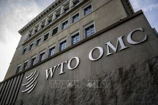 Mỹ sẵn sàng tham vấn với Trung Quốc, Canada về tranh chấp tại WTO