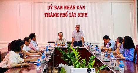 HĐND thành phố: Giám sát công tác quản lý, sử dụng và phát huy công năng của sân bóng đá, sân vận động