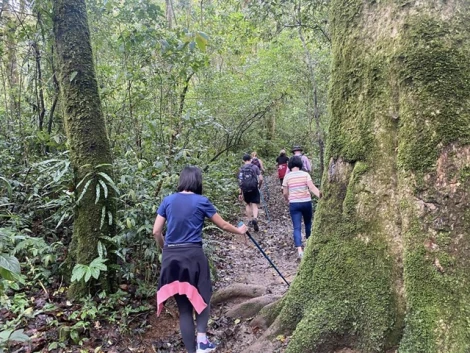 Dalat trekking tour - Hành trình chinh phục thiên nhiên đầy mê hoặc