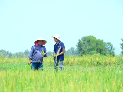 Tin media: 
Ứng dụng khoa học công nghệ vào nông nghiệp, giảm phát thải, bảo đảm năng suất, sản lượng cây trồng