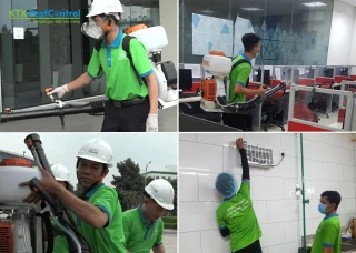 Diệt Côn Trùng KTX - Công ty dịch vụ kiểm soát côn trùng hàng đầu Việt Nam