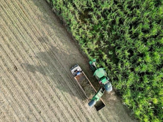 TTC AgriS giữ vững & phát triển vùng nguyên liệu, tăng cường áp dụng tiến bộ kỹ thuật, công nghệ vào canh tác mía