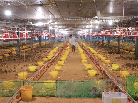 Phát triển kinh tế tuần hoàn, bước đi chiến lược của nông nghiệp Tây Ninh