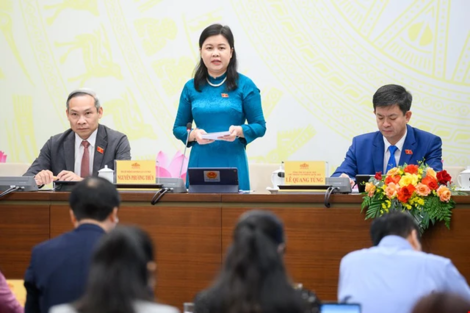 Lý do không bầu mà chỉ định chức danh Chủ tịch, Phó Chủ tịch tỉnh