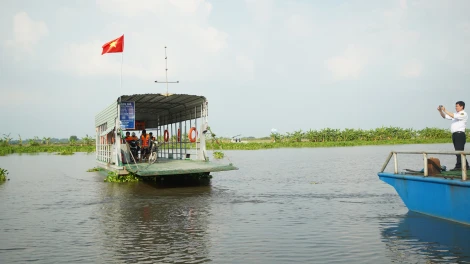 Xử lý lục bình trên sông Vàm Cỏ Đông: Dự kiến đến hết tháng 5 sẽ thông thoáng