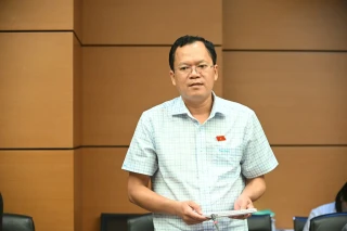 ĐBQH Huỳnh Thanh Phương: Các thủ tục liên quan đến khoa học, công nghệ và đổi mới sáng tạo còn nặng, thiếu tính khả thi
