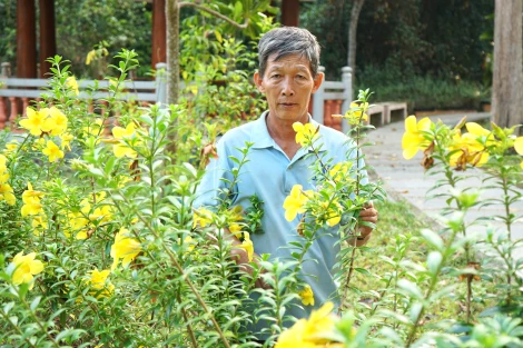 Những người âm thầm giữ gìn sạch đẹp Căn cứ Trung ương Cục miền Nam