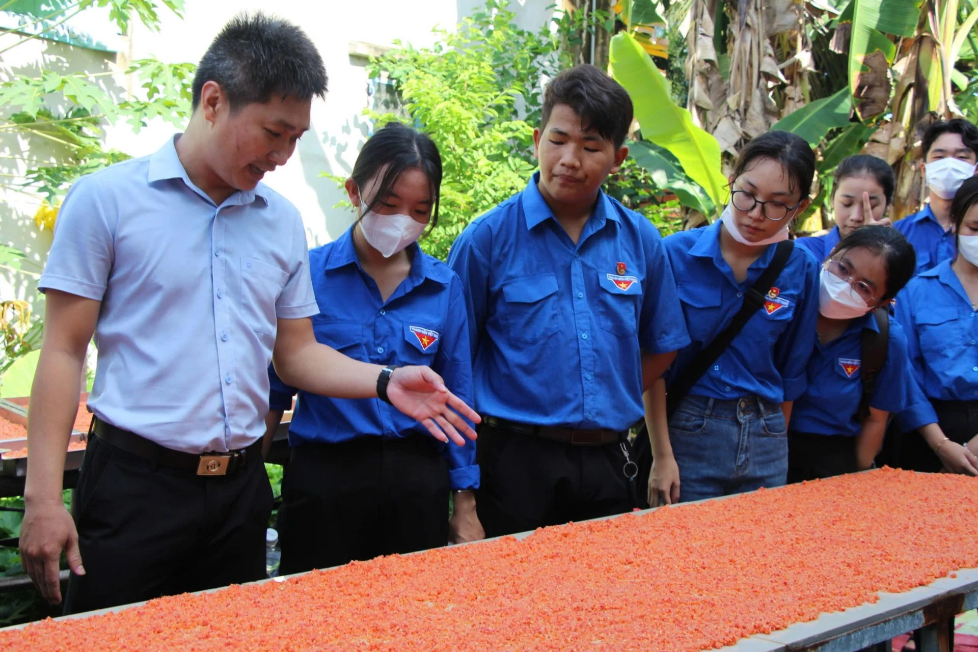 Đoàn viên, thanh niên thị xã Hoà Thành tìm hiểu về nghề làm muối ớt .
