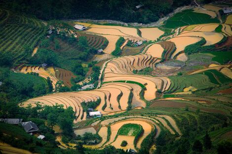 Ruộng bậc thang Mù Cang Chải vào mùa đổ ải