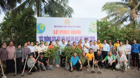 Hội Nông dân tỉnh phát động chương trình “Tết trồng cây đời đời nhớ ơn Bác Hồ”