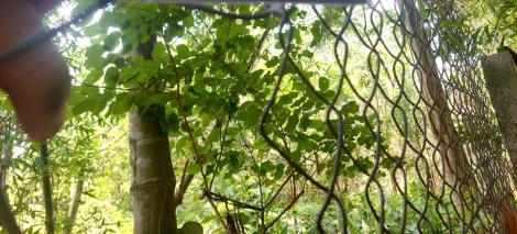 Cảnh giác tội phạm trộm cắp khi trời mưa và đêm khuya