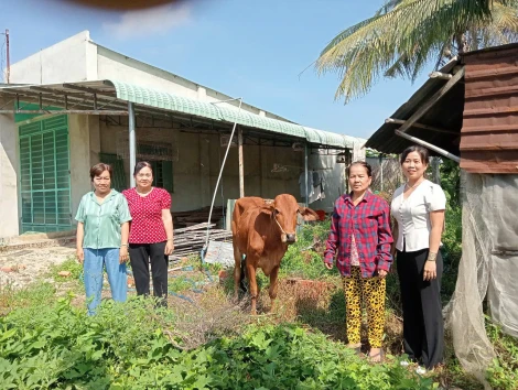 Bến Cầu: Trao bò sinh sản cho hội viên phụ nữ nghèo phát triển kinh tế