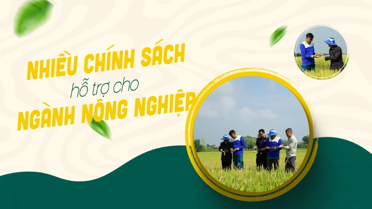 Nhiều chính sách hỗ trợ cho ngành nông nghiệp
