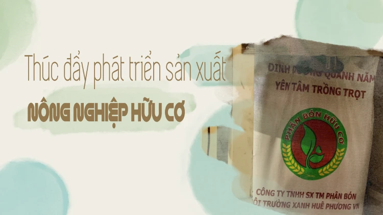Thúc đẩy phát triển sản xuất nông nghiệp hữu cơ