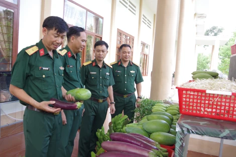 Sư đoàn 5: Điểm sáng trong phong trào thi đua “Ngành Hậu cần quân đội làm theo lời Bác Hồ dạy”