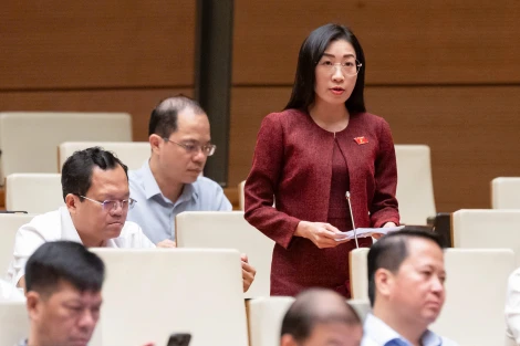 Đại biểu Hoàng Thị Thanh Thúy: Bổ sung quy định về thời điểm công bố khu vực bỏ phiếu