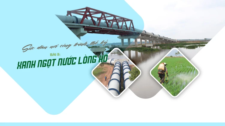 Bài cuối: Xanh ngọt nước lòng hồ