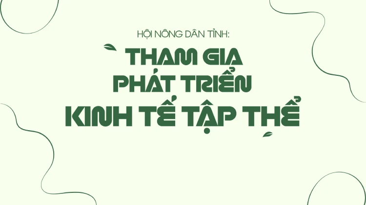Hội Nông dân tỉnh: Tham gia phát triển kinh tế tập thể