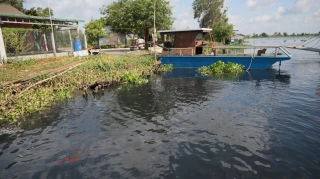 Chất lượng nước sông Vàm Cỏ Đông bảo đảm phục vụ tưới tiêu, sản xuất nông nghiệp