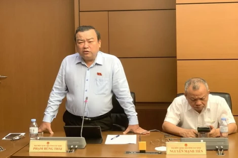 Đại biểu Phạm Hùng Thái: Cần đánh giá, tổng kết việc thi hành các chính sách về thuế sử dụng đất nông nghiệp
