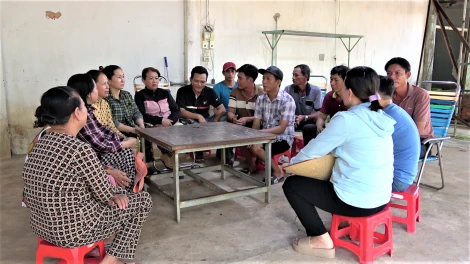 Người dân than phiền trang trại nuôi heo gây phát sinh mùi hôi