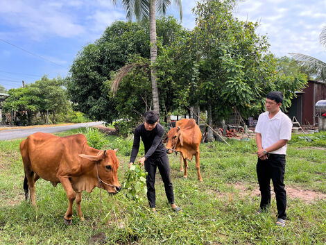 Bài cuối: Nỗ lực “nâng bước” cho bộ đội xuất ngũ