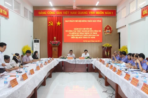 Giám sát công tác thực hành quyền công tố và kiểm soát hoạt động tư pháp của Viện Kiểm sát Nhân dân hai cấp
