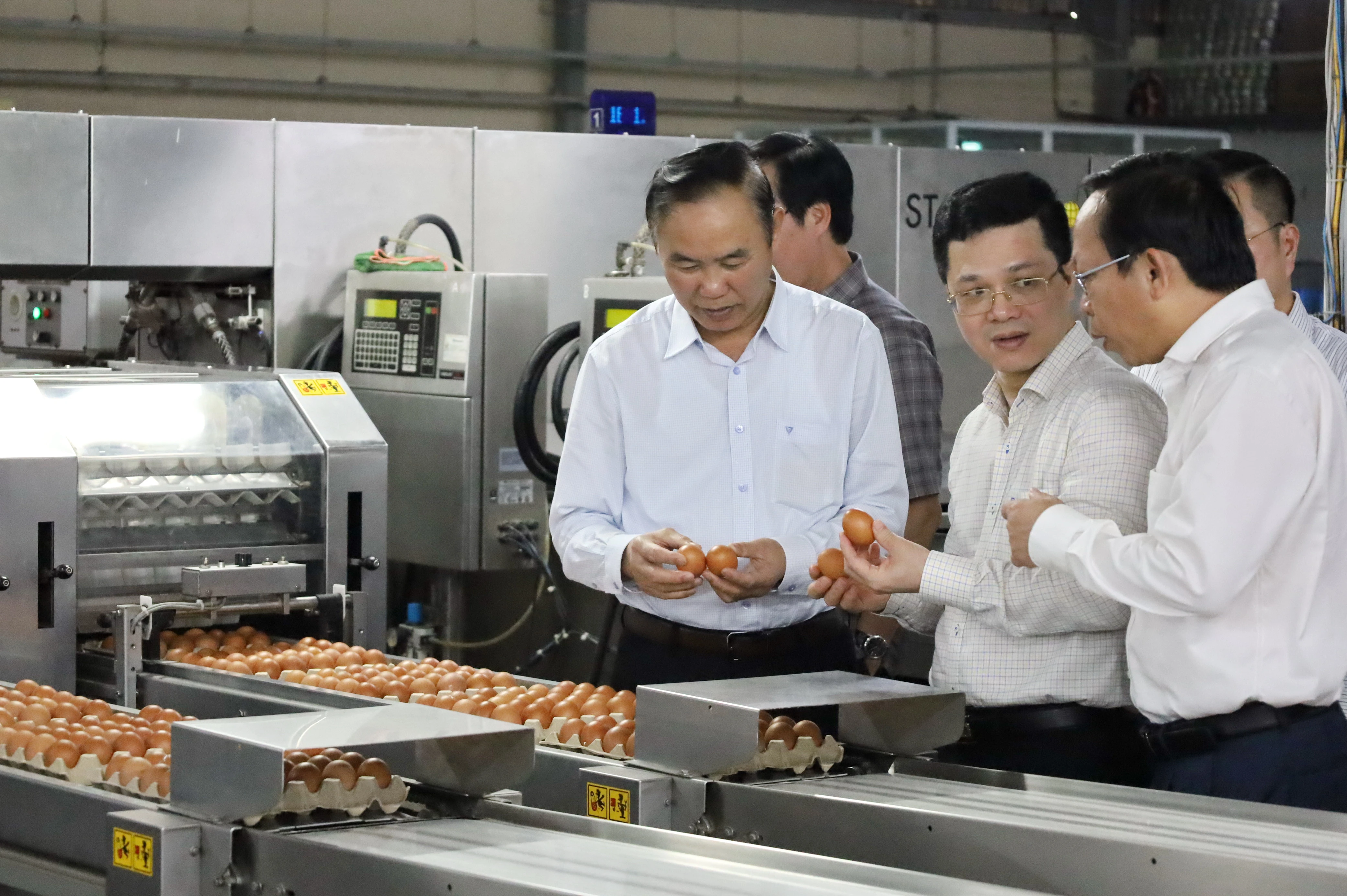 Dây chuyền sơ chế trứng của công ty  Công ty TNHH QL Vietnam Agroresources và QL Farm (huyện Tân Biên).
