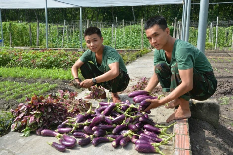 Dấu ấn của ngành hậu cần lực lượng vũ trang tỉnh Tây Ninh 5 năm qua