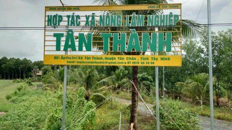 Media: Xã Tân Thành: Phấn đấu hoàn thành các tiêu chí xây dựng nông thôn mới trong năm 2025