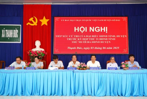 Cử tri xã Thạnh Đức đề nghị tháo dỡ các cọc chà trên sông Vàm Cỏ Đông