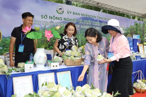 Nâng cao giá trị thương hiệu và năng lực cạnh tranh của các sản phẩm chủ lực
